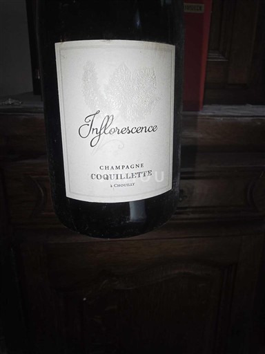 Champagne Champagne Coquillette Inflorescence Ikke årgangsbestemt