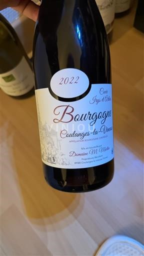 Bourgogne Bourgogne Coulanges-la-Vineuse Domaine M. Violeau Lys d'Asie 2022
