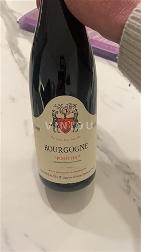 Bourgogne Domaine Geantet-Pansiot Pinot Fin 2020