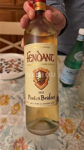 Valais Fendant Pentes Brûlées 2022