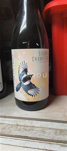 Vallée de la Loire Saumur-champigny Le Clos des Trois Chêne Non Millésimé