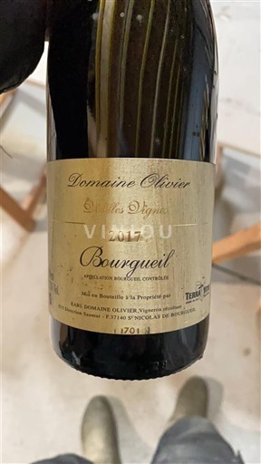Loirevallei Bourgueil Domaine Olivier Villes Vignes 2017