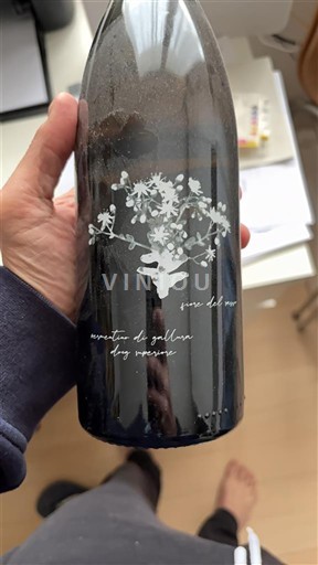 Сардинія Верментино ді Галлура La Contralta Vermentino di Gallura 2019