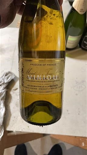 Valle della Loira Coteaux-du-Layon Moulin Touchaud 2003