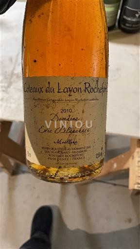 Loire Valley Unspecified Domaine Eric Blanchard Moelleux 2010