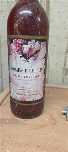 Sud-Ouest Domaine Moulin Non Millésimé