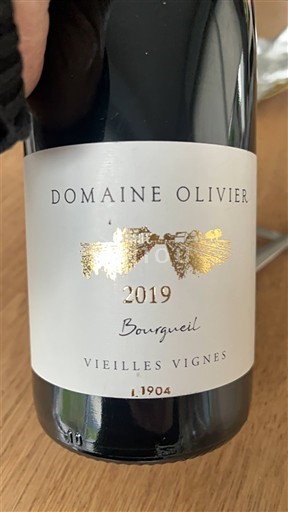 Vallée de la Loire Bourgueil Domaine Olivier Vieilles Vignes 2019