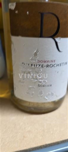 Lyonnais Coteaux-du-Lyonnais Domaine Peilzé-Rochetin Sorcier 2018