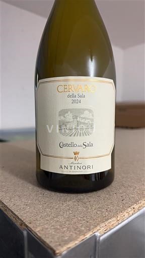 Umbria Non specificato Castello della Sala Cervaro della Sala 2024