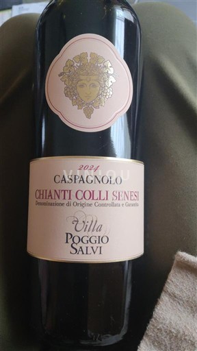 Toscane Niet gespecificeerd Villa Poggio Salvi Caspagnolo 2021