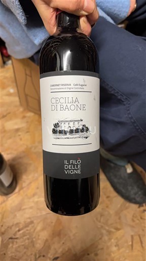 Veneto Colli Euganei Cecilia di Baone Il Filò delle Vigne 2019