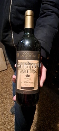 Burdeos Côtes-de-bourg Vicomte des Tours de Merle 1994