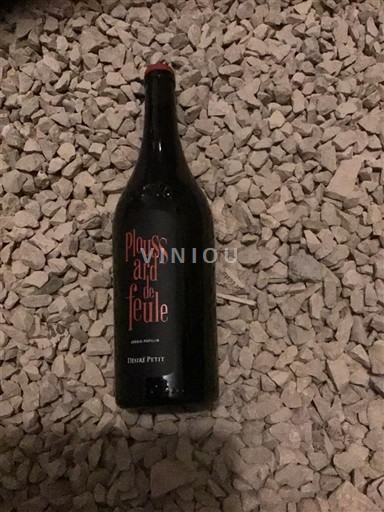 Jura Arbois-Pupillin Domaine Désiré Petit Ploussard de Feule 2023