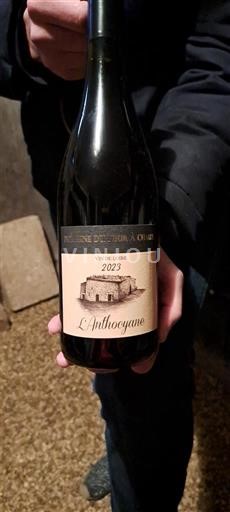 Loiredalen Touraine Domaine Four à Chaux L'Anthocyane 2023