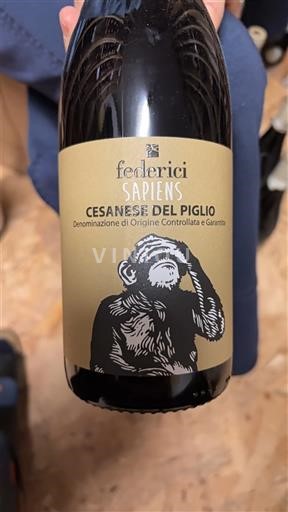 Latium Cesanese del Piglio Federici Sapiens 2020