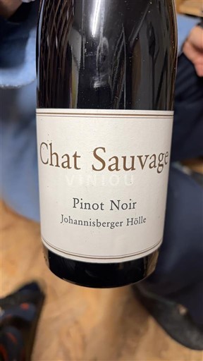 Rheingau Chat Sauvage Johannisberger Hölle 2012