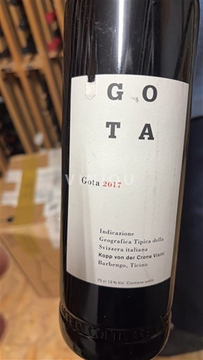 Ticino Không được chỉ định Kopp von der Crone Visini Gota 2017