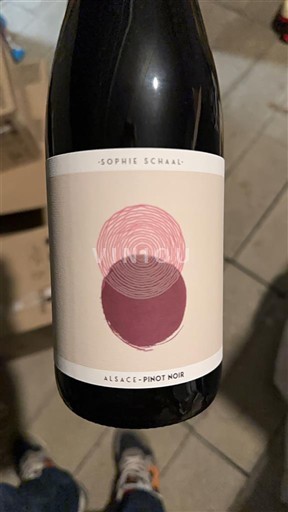 Alsace Sophie Schaal 2024