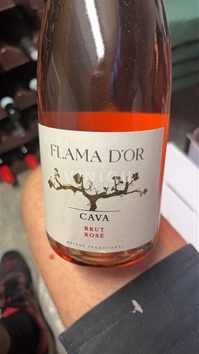 Каталонія Кава Flama d'Or Без вінтажу