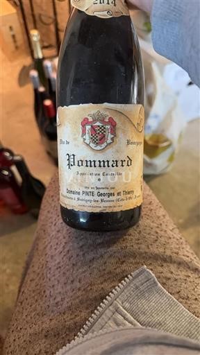 Burgundija Pommard Domaine Pinte Georges et Thierry 2014
