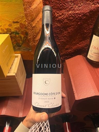 Bourgogne Bourgogne Côte d'Or Clément Chicut 2023
