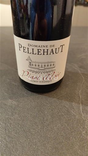 Sudoeste Côtes de Gascogne Domaine Pellehaut Pinot Noir Climat Océanique 2023