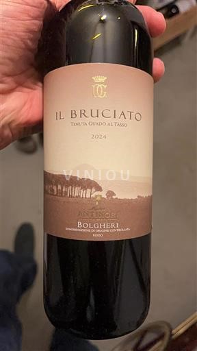 Toscana Bolgheri Tenuta Guado al Tasso Il Bruciato 2024