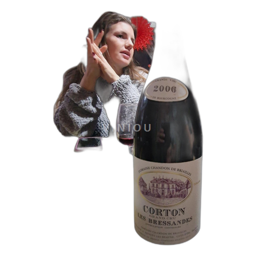 Vin Rouge sec Les Bressandes Domaine Chandon de Briailles 2006 France Bourgogne Corton AOC
