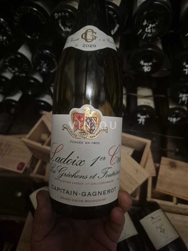 Бургундія Не вказано Premier Cru Capitain-Gagnerot Les Grechons et Foutrières 2020
