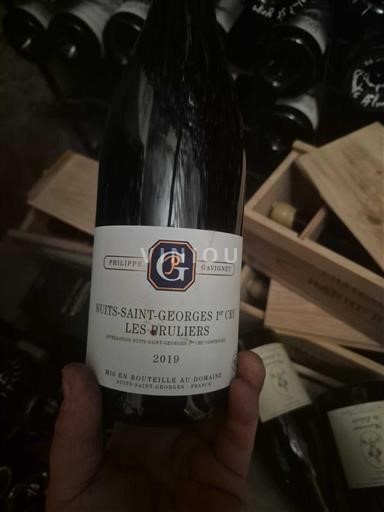 Bourgogne Nuits-saint-georges Premier Cru Philippe Gavignet Les Bruliers 2019