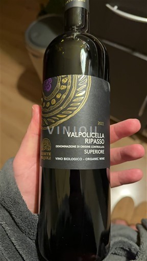 Vénétie Valpolicella Ripasso Corte Majoli 2022