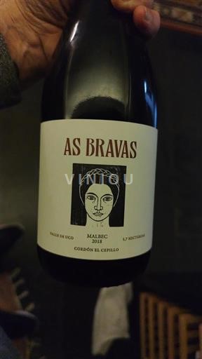 Mendoza Valle de Uco As Bravas Cordon El Cepillo 2018