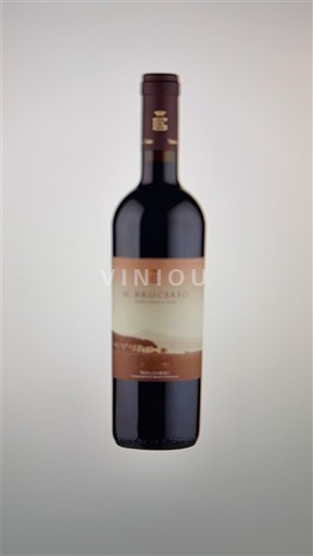 Toscana Bolgheri Il Bruciato 2024