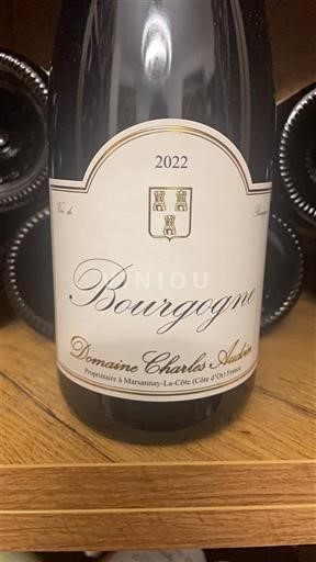 Bourgogne Domaine Charles Audin 2022