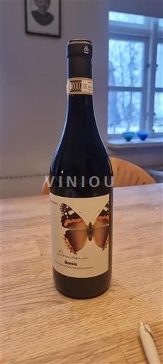 Vinhos Rouge sec Dosio 2019 Itália Piemonte Barolo DOC