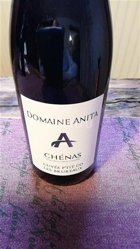 Beaujolais Chénas Domaine Anita P'tit Co Les Brureaux Ei vuosikertaa