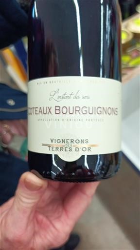 Bourgogne Bourgognebackar Vignerons des Terres d'Or L'instant des sens Icke årgångsbetecknad