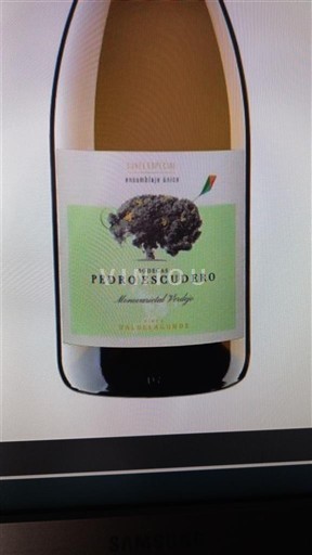 Kastilien und León Rueda Pedro Escudero Cuvee Especial 2024