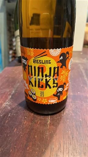 Alzacija Ninja Kicks 2023