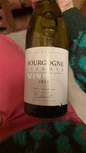 Burgundija Bourgogne Aligoté Domaine Berthaut 2019