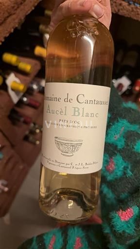 Languedoc og Roussillon Pays d'Oc Domaine Cantaussel Aucèl Blanc 2021