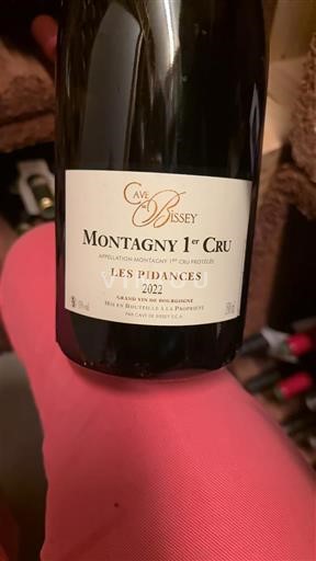 Bourgogne Ikke specificeret Premier Cru Cave de Bissey Les Pidances 2022