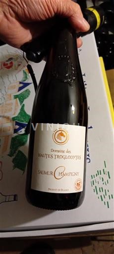 Vallée de la Loire Saumur-champigny Domaine S Hautes Troglodytes 2023