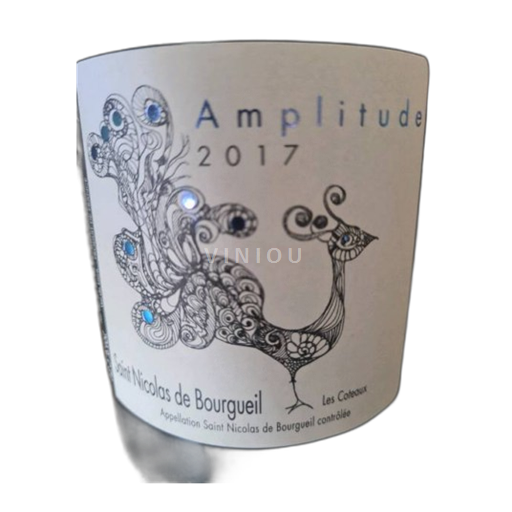 Loire Valley Saint-Nicolas-de-Bourgueil Nathalie et David Drussé Amplitude 2022