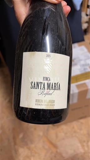 Kastilja in León Ribera del Duero Finca Santa María Rafael 2015