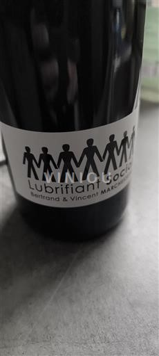 Loirevallei Bourgueil Bertrand & Vincent Marchesseau Lubrifiant Social 2024