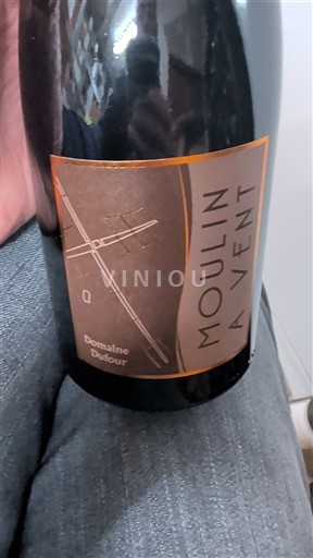 Beaujolais Moulin-à-vent Domaine Four 2020