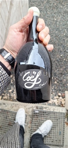 Wines Rouge sec CöeL David 2018 France Loire Valley Anjou AOC