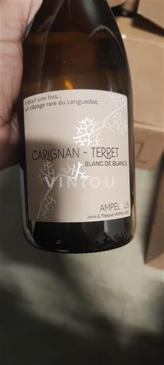 Languedoc Ampelhus Carignan - Terret Blanc de Blancs Non Millésimé