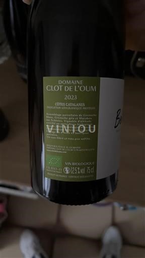 Vine Blanc sec Clot de l'Oum 2023 Frankrig Languedoc og Roussillon Catalansk skråning IGP